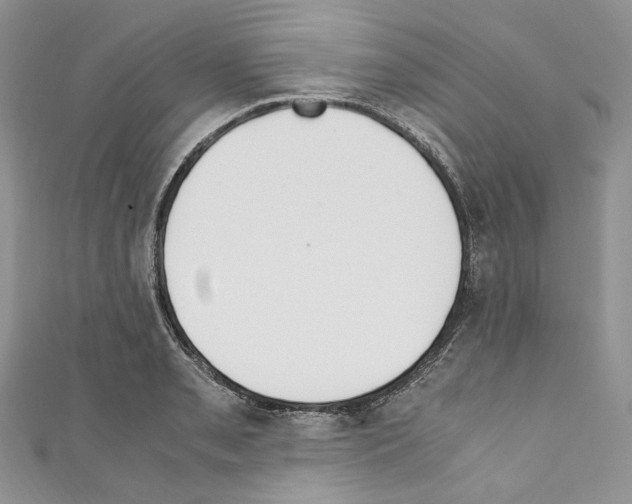 X0000110771085200907271159