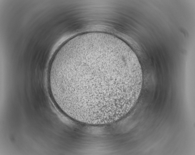 X0000110771086200907271159