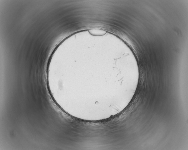 X0000110771088200907271159