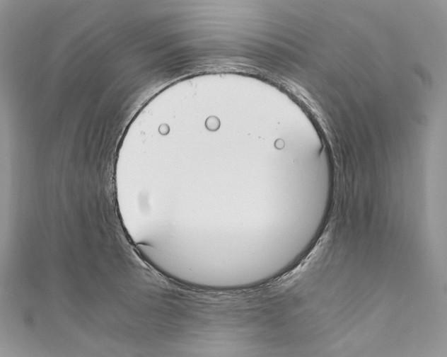 X0000110771089200907271159