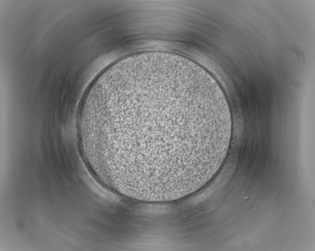 X0000110771090200907271159