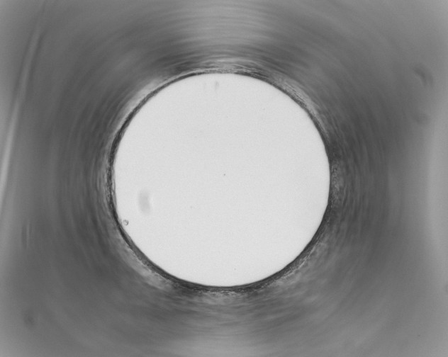 X0000110771091200907271159