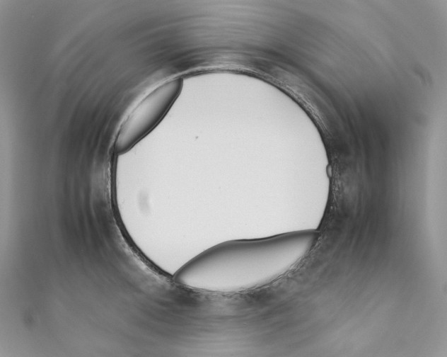 X0000110771092200907271159