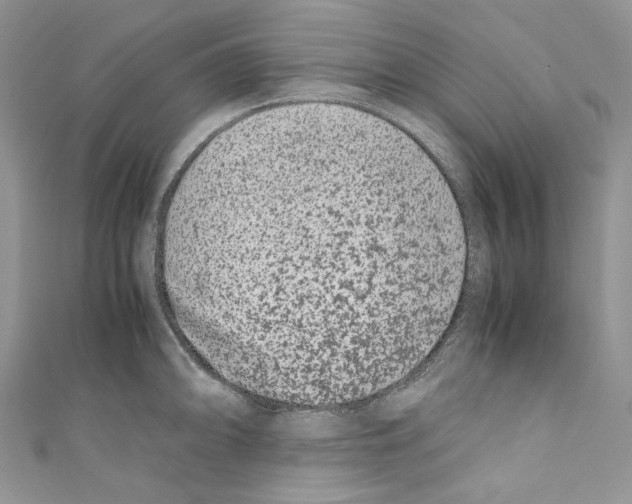 X0000110771094200907271159