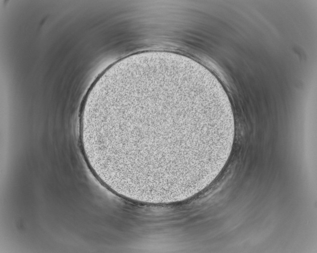 X0000110771095200907271159