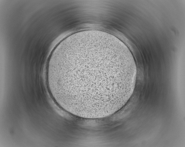 X0000110771098200907271159