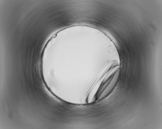 X0000110771100200907271159