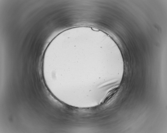 X0000110771102200907271159