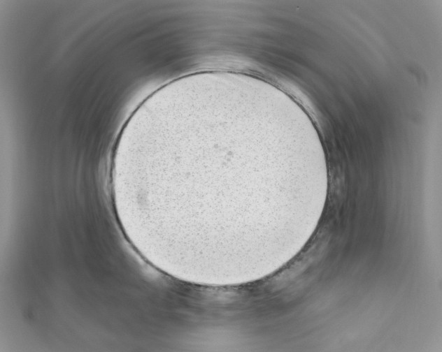 X0000110771103200907271159