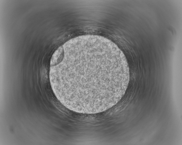 X0000110771106200907271158