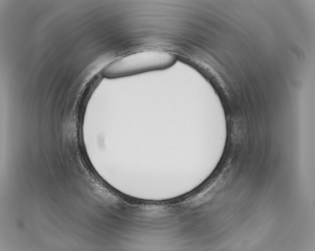 X0000110771114200907271158