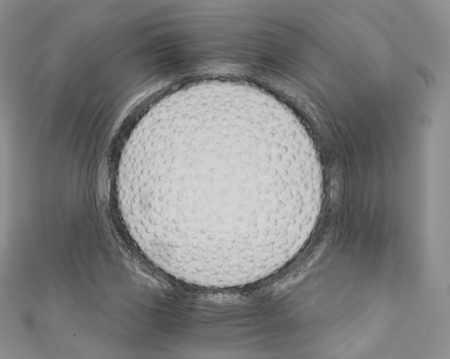 X0000110771117200907271158