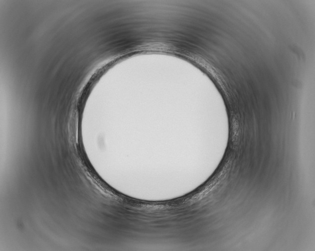 X0000110771123200907271158