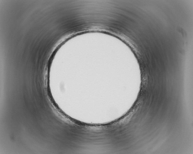 X0000110771126200907271158