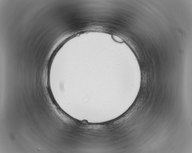 X0000110771131200907271158