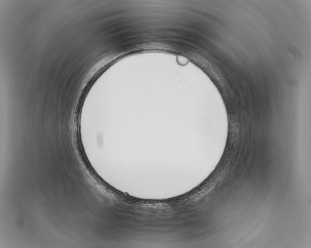 X0000110771133200907271158