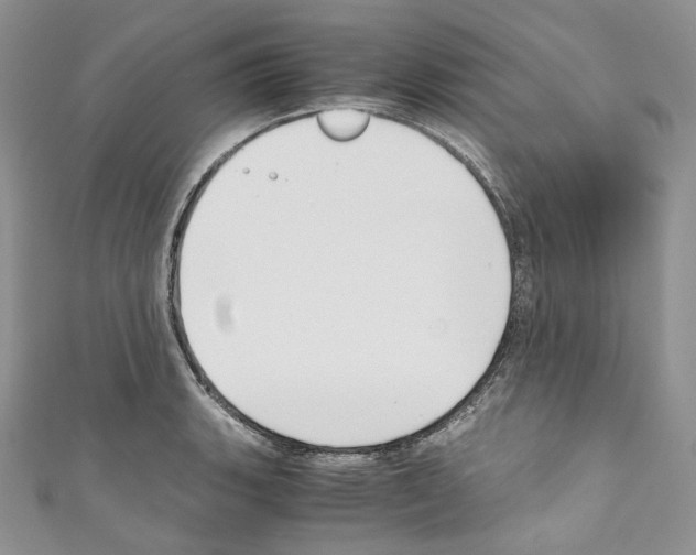 X0000110771135200907271159