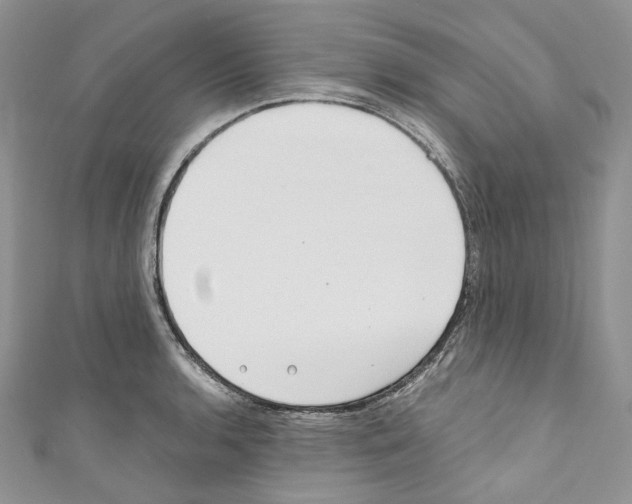 X0000110771136200907271159