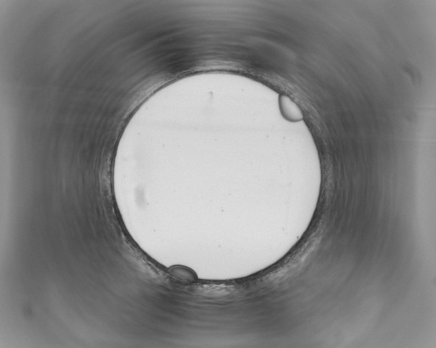 X0000110771137200907271159