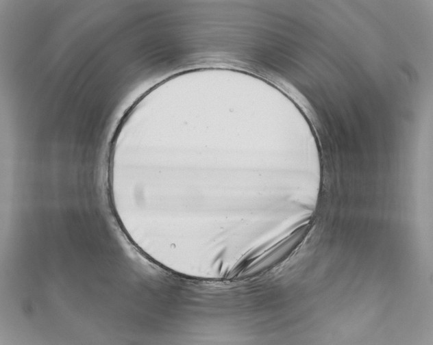 X0000110771144200907271159