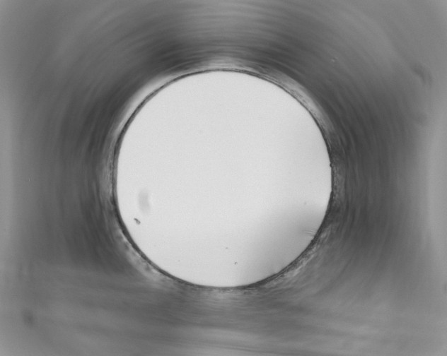 X0000110771148200907271159