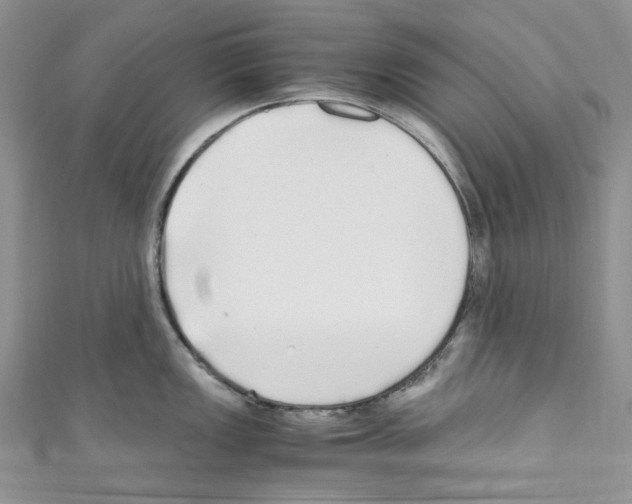 X0000110771149200907271159