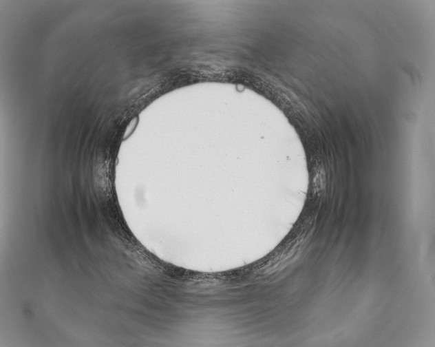 X0000110771156200907271158