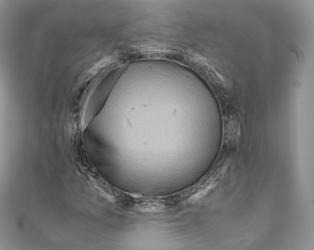 X0000110771157200907271158