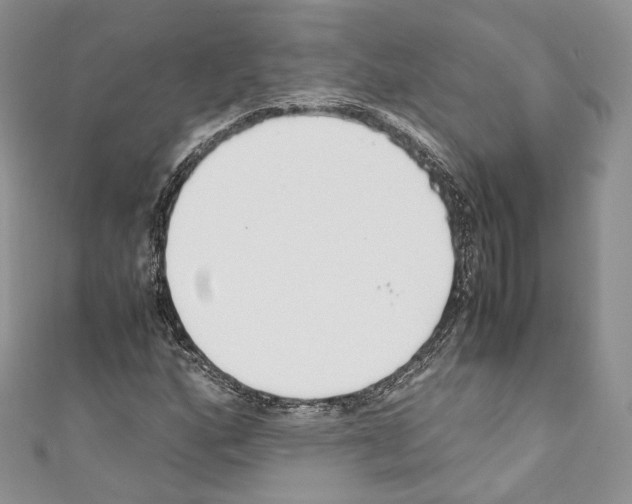 X0000110771160200907271158