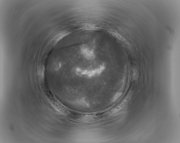 X0000110771161200907271158