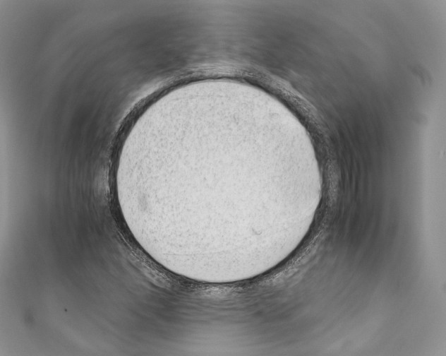 X0000110771166200907271158