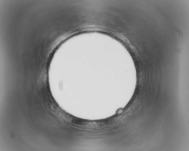 X0000110771167200907271158