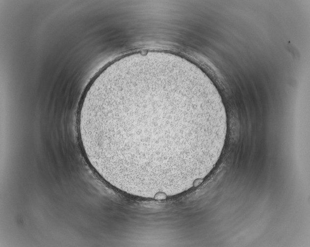 X0000110771182200907271158