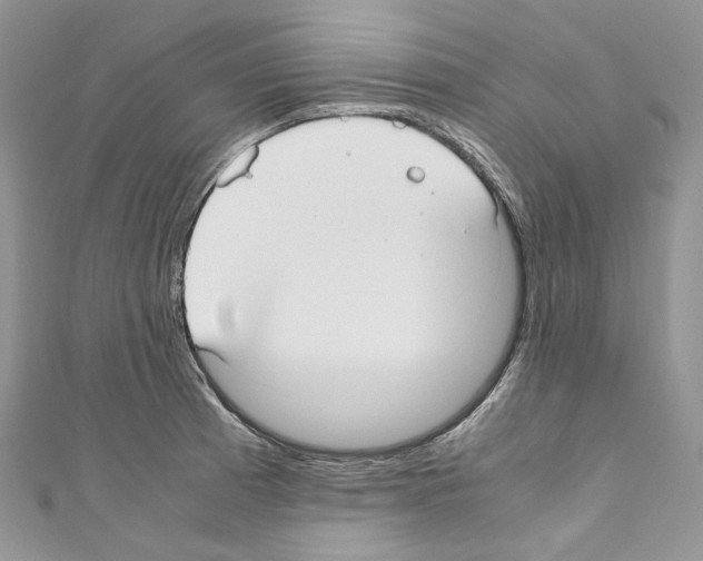 X0000110771185200907271158