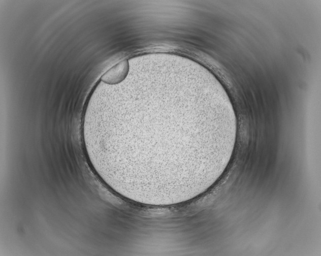 X0000110771186200907271158