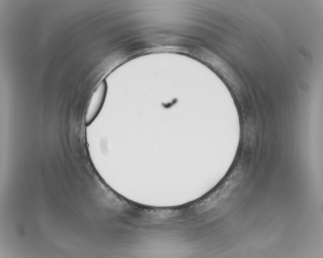 X0000110771193200907271158