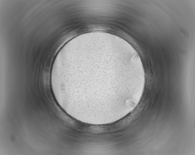 X0000110771194200907271158