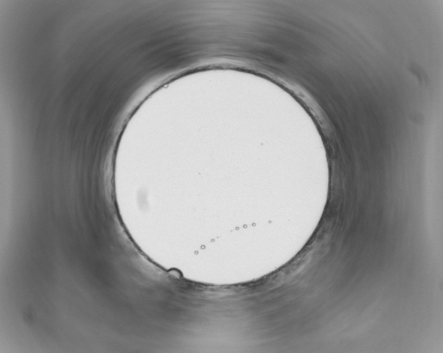 X0000110771199200907271158