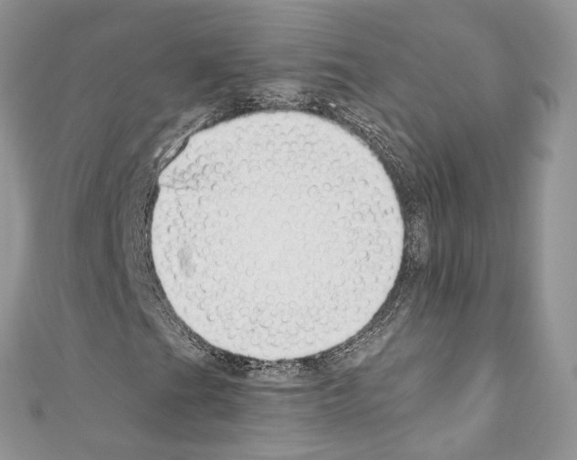 X0000110771201200907271157