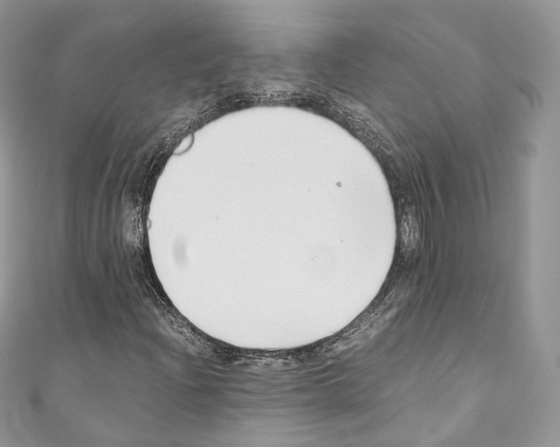 X0000110771204200907271157