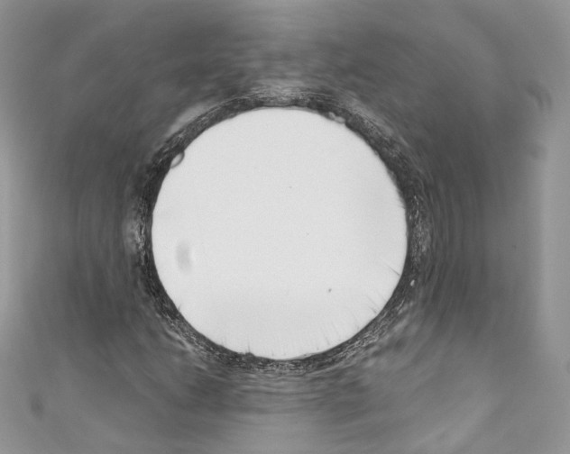 X0000110771206200907271157