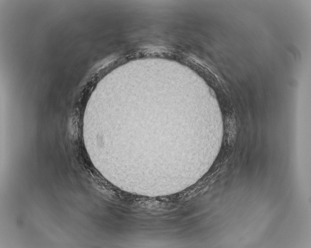 X0000110771207200907271157