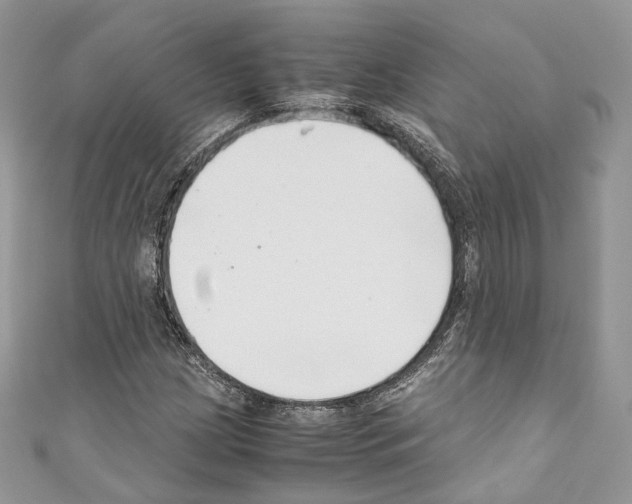 X0000110771209200907271157