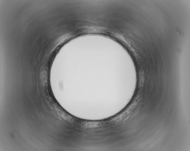 X0000110771211200907271157