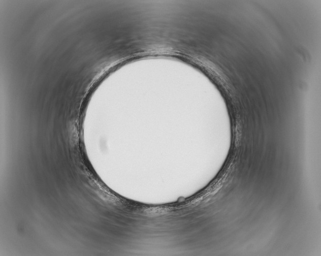 X0000110771212200907271157