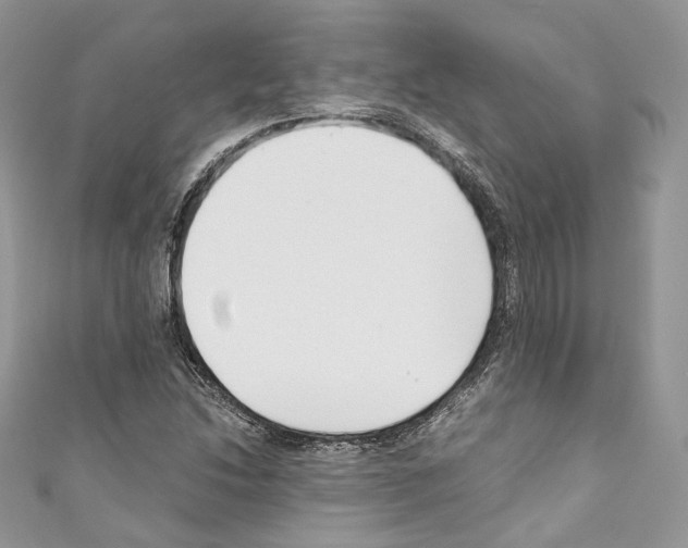 X0000110771214200907271157