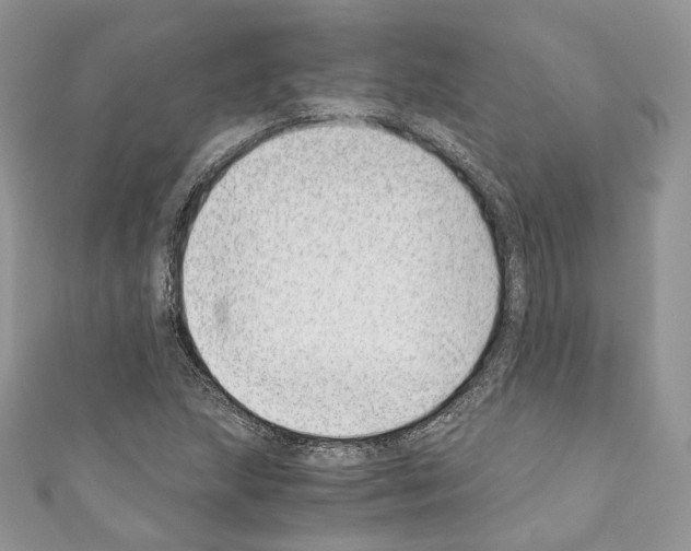 X0000110771215200907271157