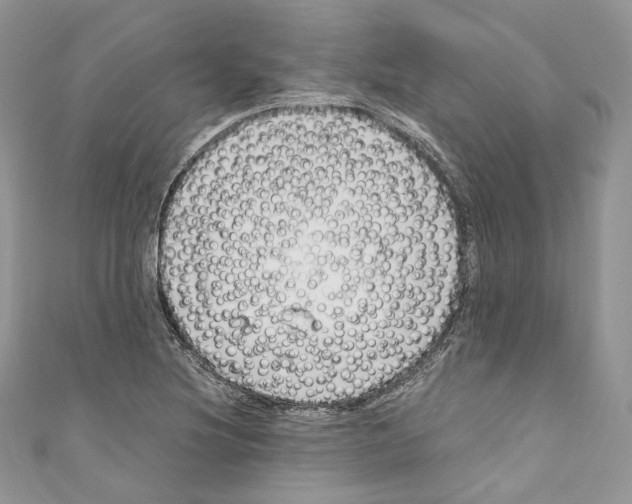 X0000110771220200907271157