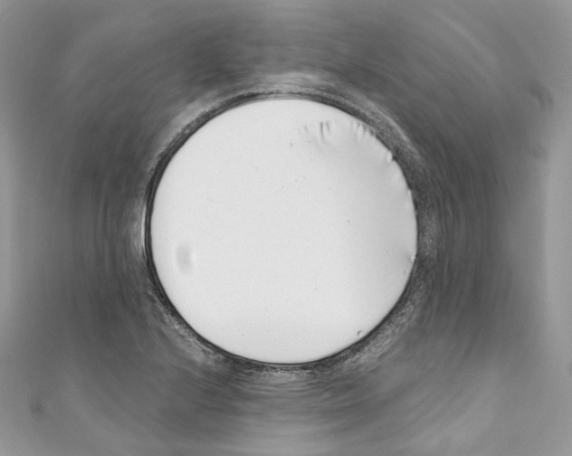 X0000110771224200907271157