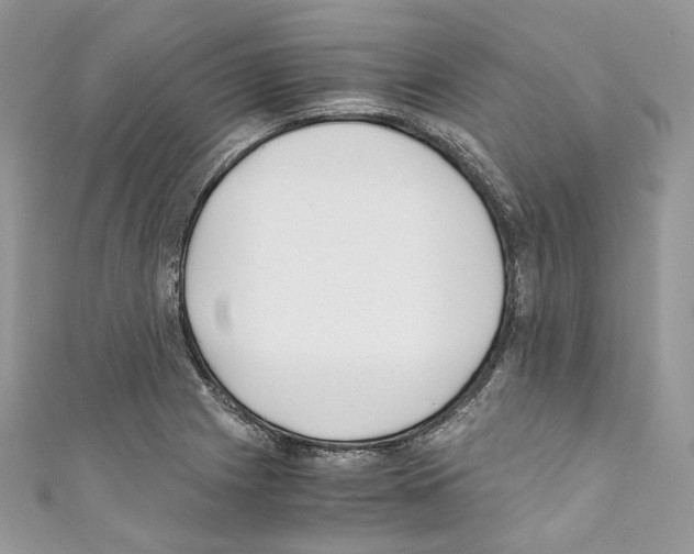 X0000110771225200907271157